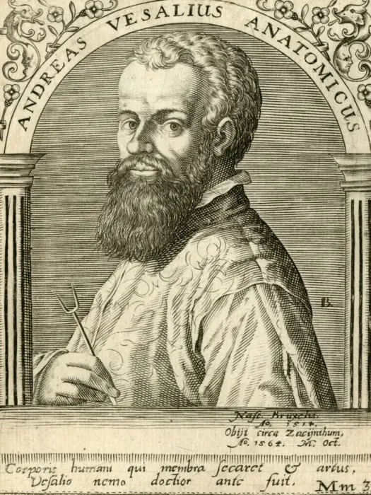 Framed Print : Vesalius - Ammon 1650