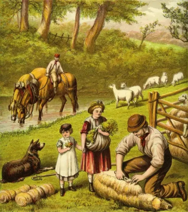 Framed Print : Victorian Farmyard (Sheep shearing) Framed Print : Victorian Farmyard (Sheep shearing)