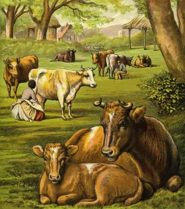 Framed Print : Victorian Farmyard (The cows) Framed Print : Victorian Farmyard (The cows)