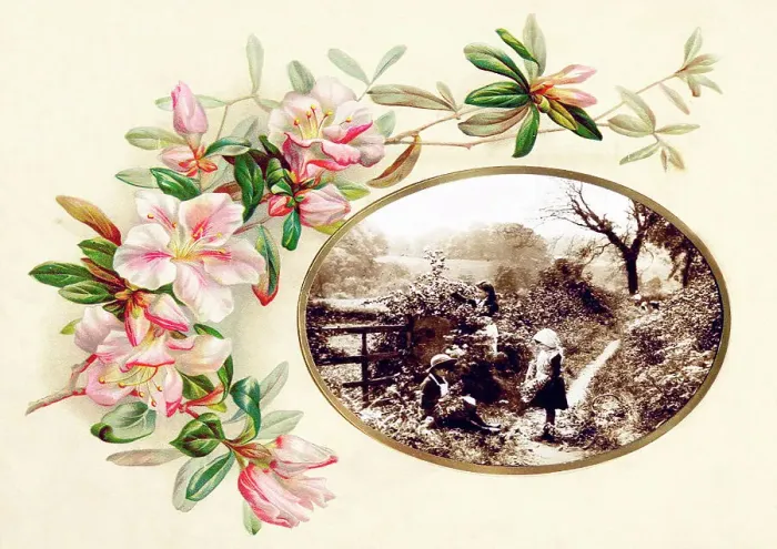 Framed Print : Victorian floral greetings card design, A6 size, No. 17 Framed Print : Victorian floral greetings card design, A6 size, No. 17