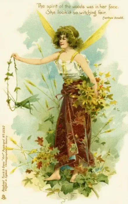 Framed Print : Victorian flower fairies Framed Print : Victorian flower fairies