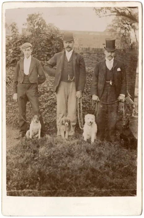 Framed Print : Three Victorian men with four assorted dogs Framed Print : Three Victorian men with four assorted dogs