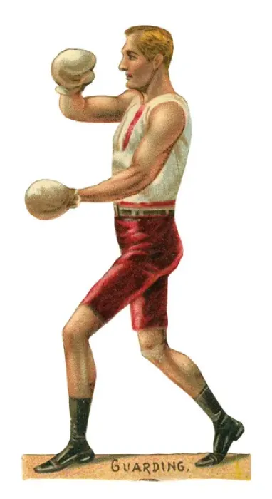 Framed Print : Victorian scrap - boxer guarding Framed Print : Victorian scrap - boxer guarding