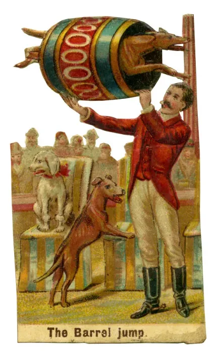 Framed Print : Victorian scrap, Circus dogs in barrel jump Framed Print : Victorian scrap, Circus dogs in barrel jump