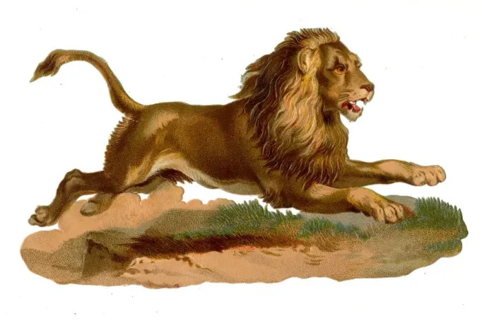 Framed Print : Victorian scrap, leaping lion Framed Print : Victorian scrap, leaping lion