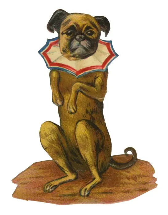 Framed Print : Victorian Scrap, performing dog Framed Print : Victorian Scrap, performing dog