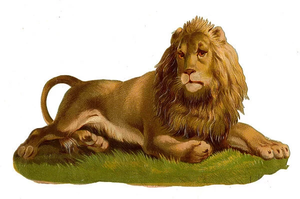Victorian scrap, resting lion