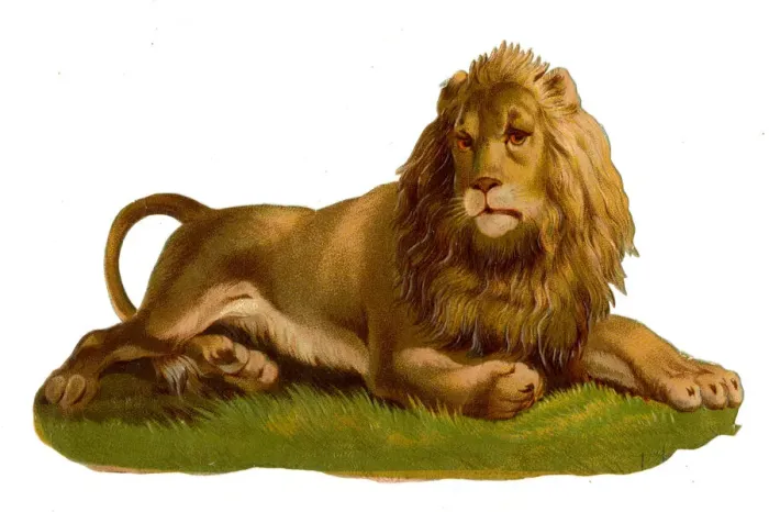 Framed Print : Victorian scrap, resting lion