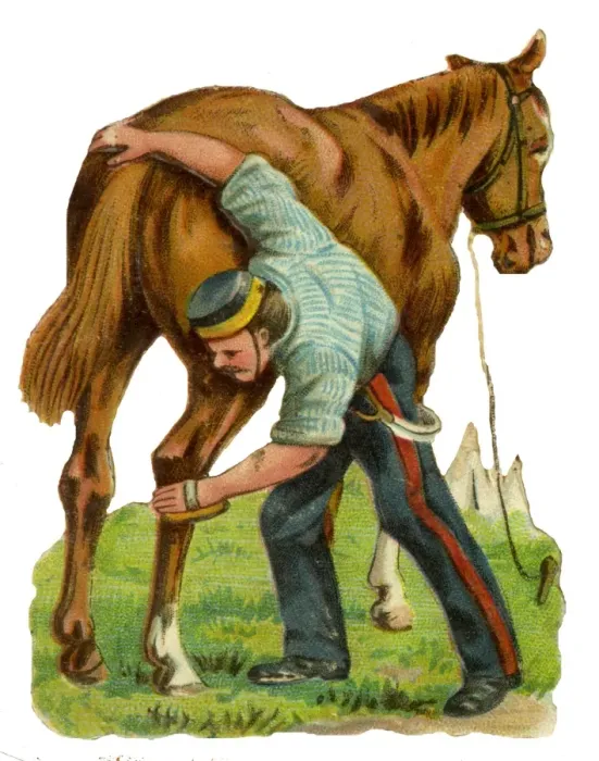 Framed Print : Victorian Scrap - Soldier Grooming Horse Framed Print : Victorian Scrap - Soldier Grooming Horse