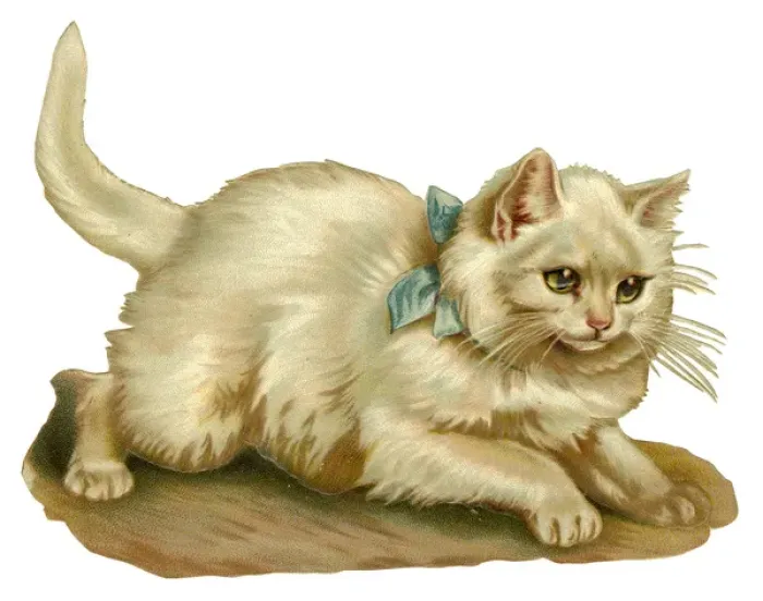 Framed Print : Victorian scrap - White cat Framed Print : Victorian scrap - White cat