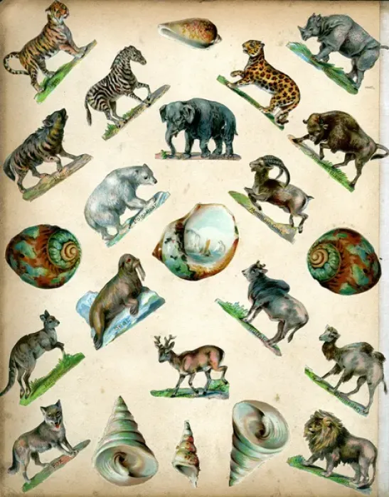 Framed Print : Victorian Scraps - Page of Animals Framed Print : Victorian Scraps - Page of Animals