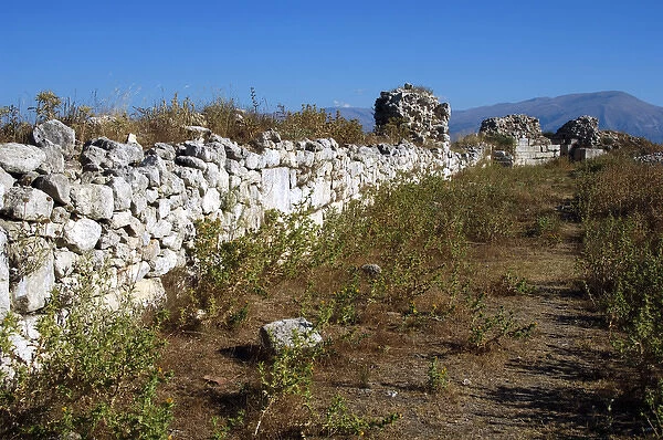 Victorinus wall. Late IV century A. C. Byllis Ruins. Republi