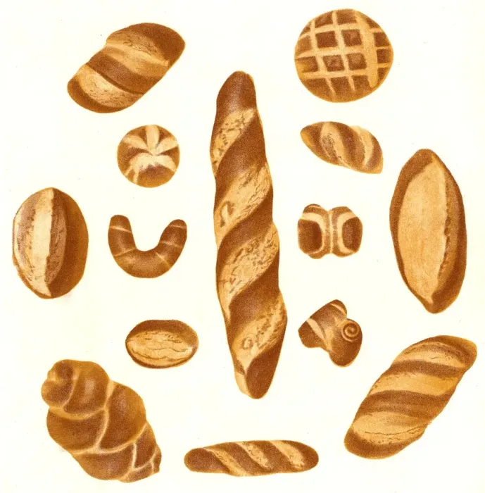 Framed Print : Vienna Breads Framed Print : Vienna Breads