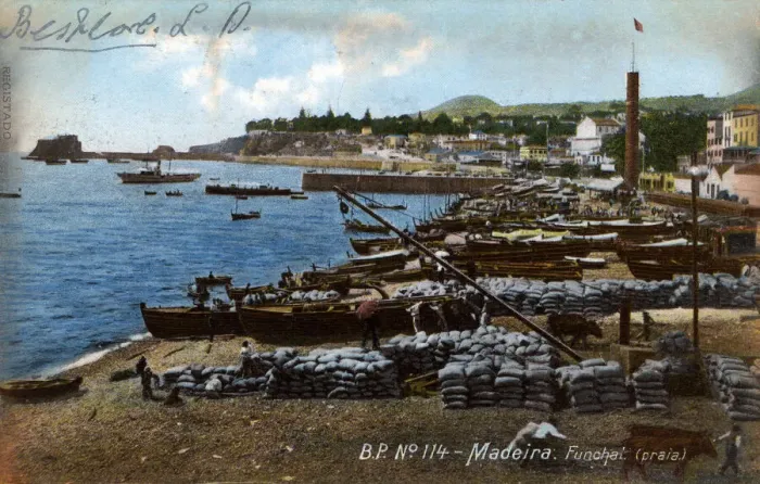Framed Print : View of the beach at Funchal, Madeira Framed Print : View of the beach at Funchal, Madeira