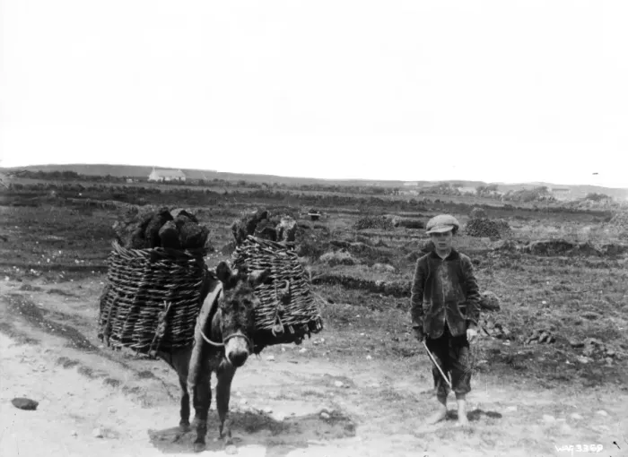 Framed Print : A view of a boy beside a donkey and hinged creels with turf Framed Print : A view of a boy beside a donkey and hinged creels with turf