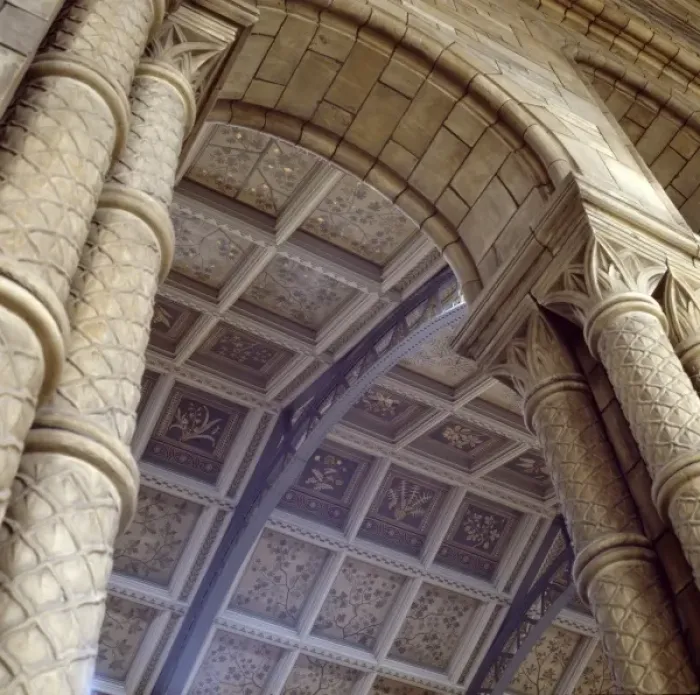 Framed Print : Detail view of the Central Hall ceiling at the Natural Histo Framed Print : Detail view of the Central Hall ceiling at the Natural Histo