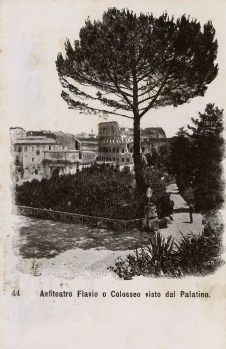 Framed Print : View of the Colosseum and Roman Forum from Palatine Hill Framed Print : View of the Colosseum and Roman Forum from Palatine Hill