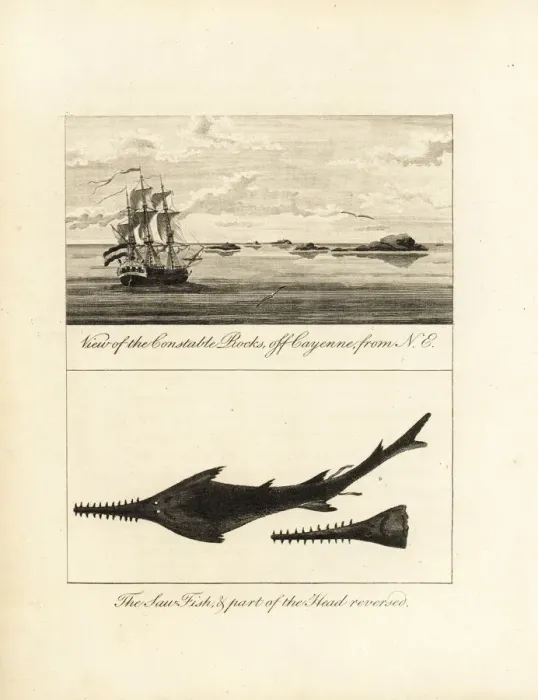 Framed Print : View of Constable Rocks off Cayenne, and sawfish Framed Print : View of Constable Rocks off Cayenne, and sawfish