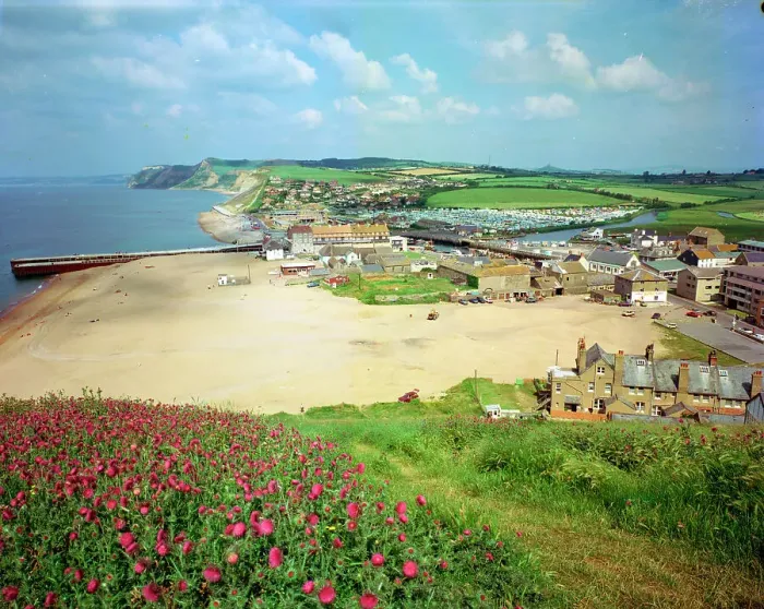 Framed Print : View from East Cliff, West Bay Framed Print : View from East Cliff, West Bay