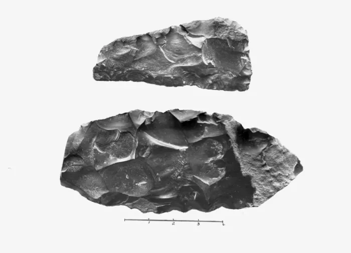 Framed Print : A view of two Egyptian Palaeolithic flint implements Framed Print : A view of two Egyptian Palaeolithic flint implements