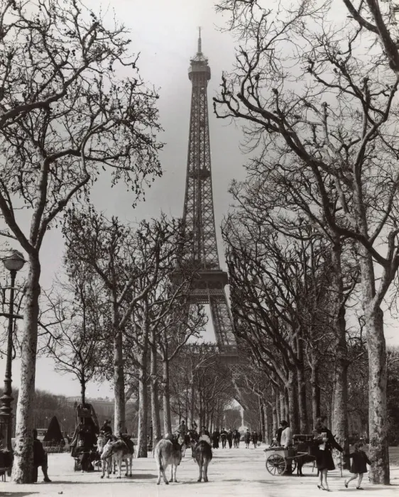 Framed Print : View of the Eiffel Tower, Paris, France Framed Print : View of the Eiffel Tower, Paris, France