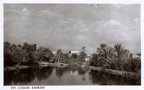 View at Ein Cassari, Bahrain, Persian Gulf