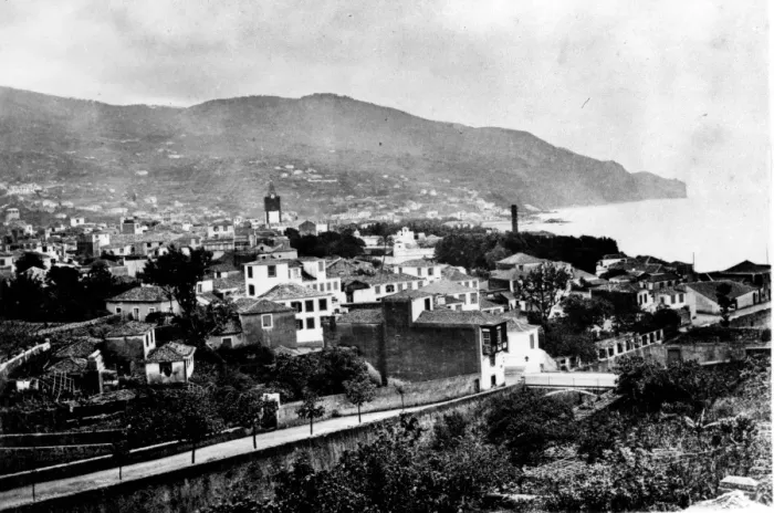 Framed Print : A view of Funchel from the West, Madeira 1873 Framed Print : A view of Funchel from the West, Madeira 1873