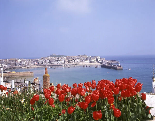 View of the harbour with tulips, St Ives, Cornwall