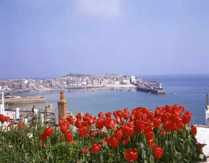 Framed Print : View of the harbour with tulips, St Ives, Cornwall Framed Print : View of the harbour with tulips, St Ives, Cornwall
