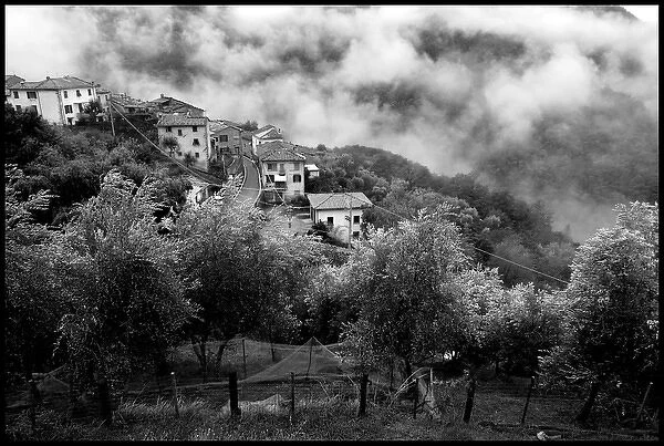 View of hilltop village Bennabio olive trees and mist Italy