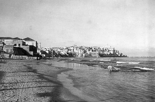 View of Jaffa, Western Israel