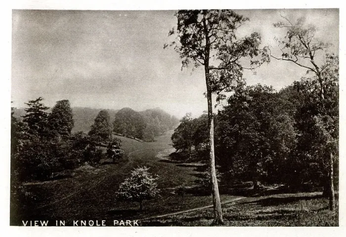 Framed Print : View in Knole Park, Kent Framed Print : View in Knole Park, Kent
