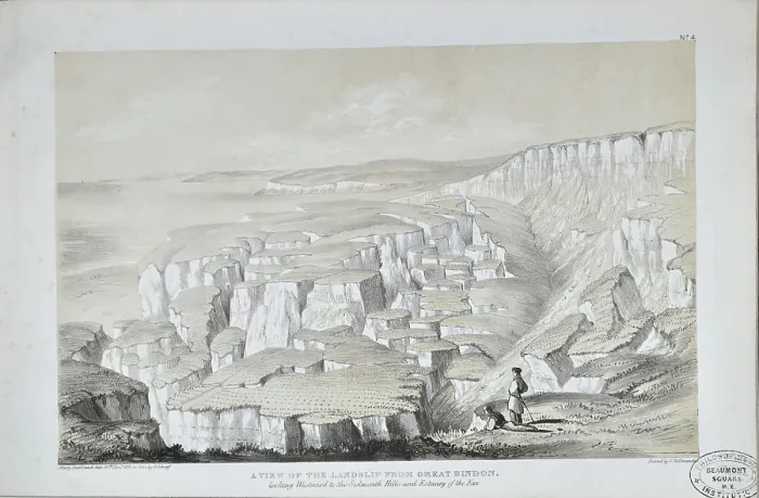 Framed Print : A view of the landslip from Great Bindon Framed Print : A view of the landslip from Great Bindon