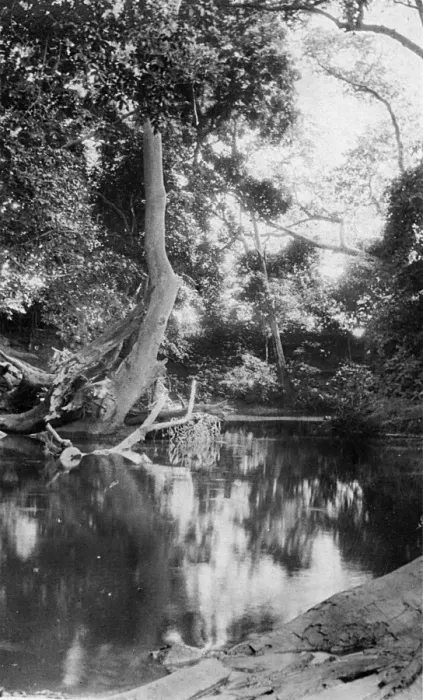 Framed Print : View of the Lumi River, East Africa Framed Print : View of the Lumi River, East Africa
