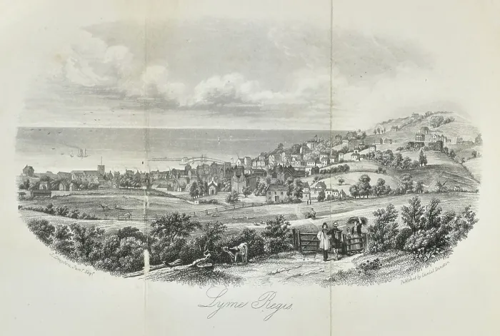 Framed Print : View of Lyme Regis Framed Print : View of Lyme Regis