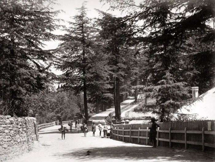 Framed Print : View of The Mall, Simla, Shimla, India, c. 1860 s Framed Print : View of The Mall, Simla, Shimla, India, c. 1860 s