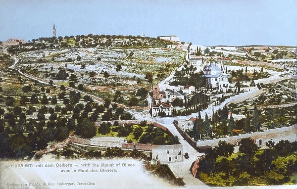 1900 Mount of Olives and The Gardens of Gethsemane ca Jerusalem Landscape Photochrom Fine Art Print