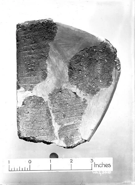 View of pottery fragments against a white background
