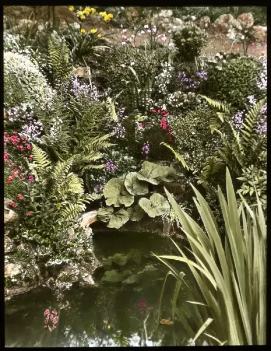 Framed Print : View of Reginald Malbys garden and pond Framed Print : View of Reginald Malbys garden and pond