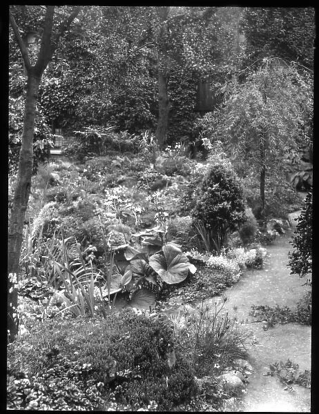 View of Reginald Malbys garden in summer