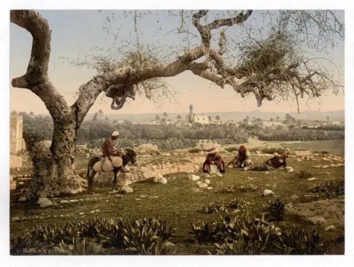 Framed Print : View from Southwest, Lydda, Holy Land, (i. e. Israel) Framed Print : View from Southwest, Lydda, Holy Land, (i. e. Israel)