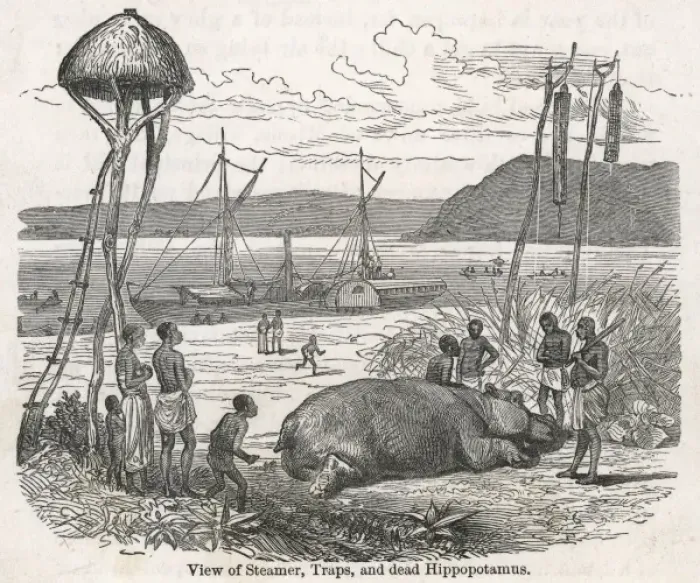 Framed Print : View of stamer, traps and dead hippo / Livingstone expedition Framed Print : View of stamer, traps and dead hippo / Livingstone expedition