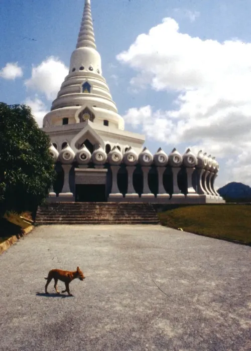 Framed Print : View of a temple, Thailand Framed Print : View of a temple, Thailand