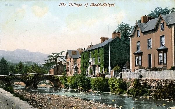 The Village, Beddgelert, Caernarvonshire