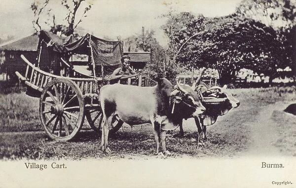 Village Cart - Myanmar