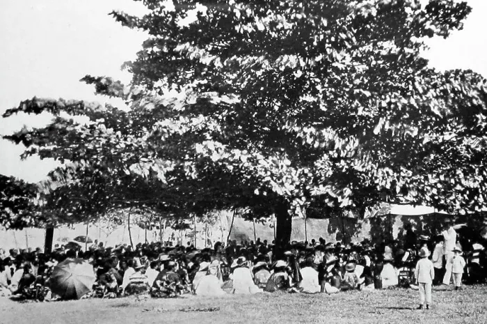 Framed Print : A village gathering, Fiji, Victorian period