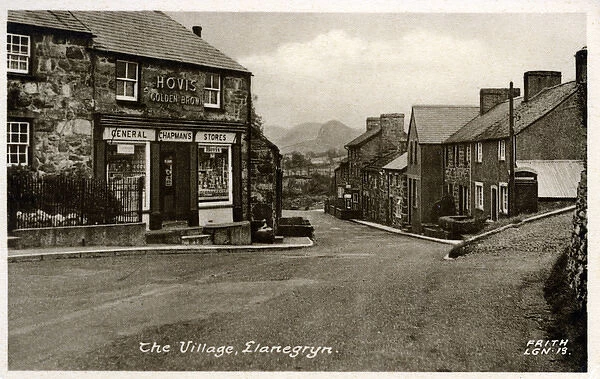 The Village, Llanegryn, Merionethshire