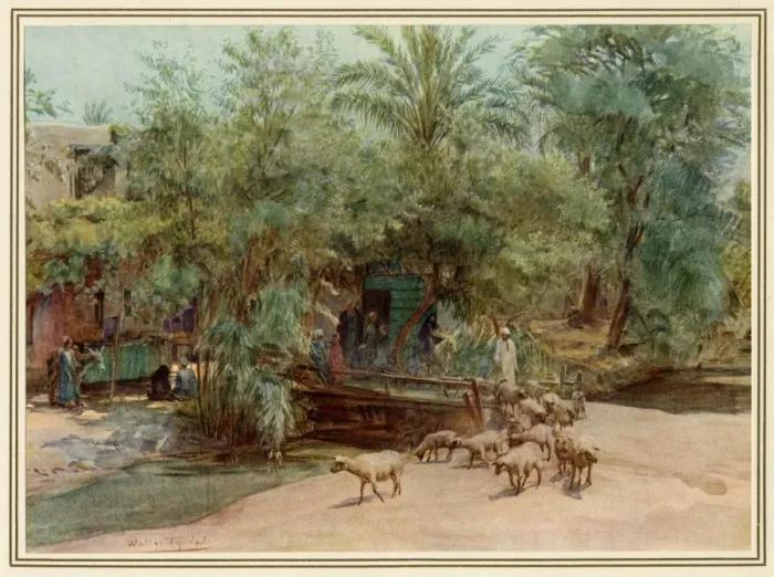 Framed Print : Village of Marg / Egypt Framed Print : Village of Marg / Egypt