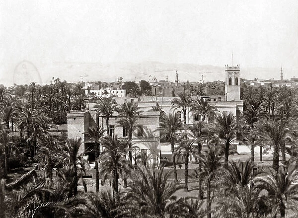 Village scene, Egypt, circa 1880s