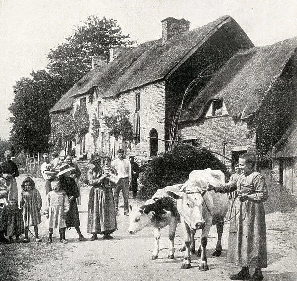 Village scene, Normandy, Northern France